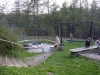 DSCN6053.jpg
